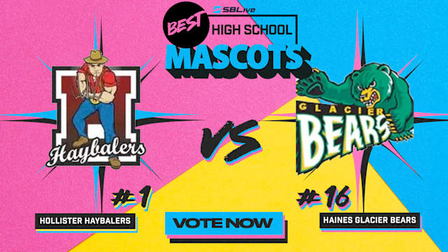 Hollister Glacier Bears 1v16